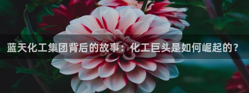 球盟会里面有打牌的嘛知乎
