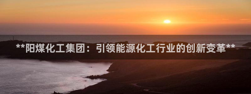 球盟会有没有黑单的活动：**阳煤化工集团：引领能源化工行业的