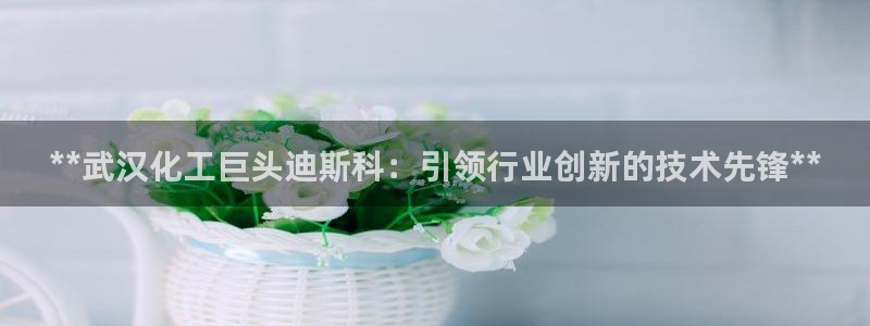 球盟会综合app下载：**武汉化工巨头迪斯科：引领行业创新的