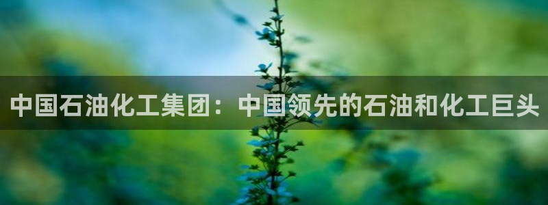 球盟会app最新地址下载：中国石油化工集团：中国领先的石油和