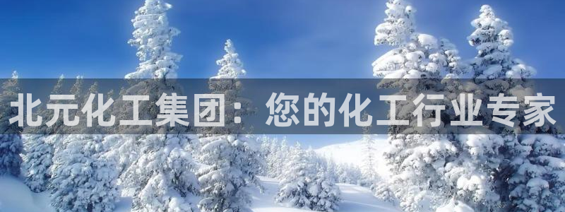 球盟会官方网站是什么