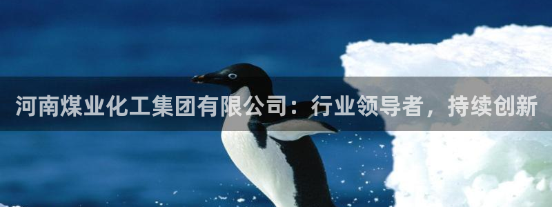 球盟会官方客服：河南煤业化工集团有限公司：行业领导者，持续创