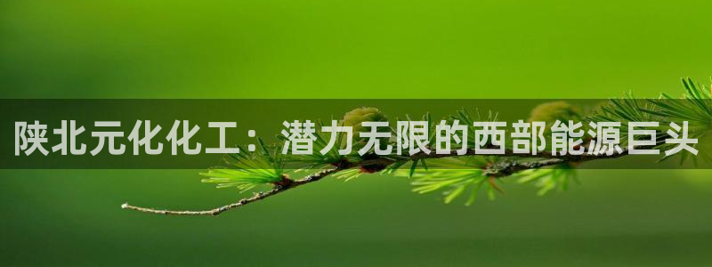 球盟会官方网站app