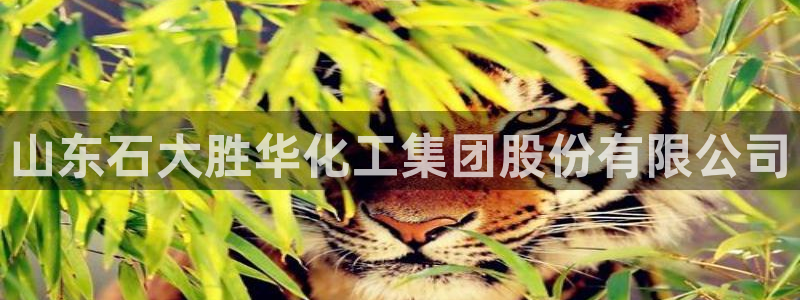 球盟会最新地址备用：山东石大胜华化工集团股份有限公司