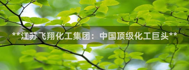 球盟会中国网页登录：**江苏飞翔化工集团：中国顶级化工巨头*
