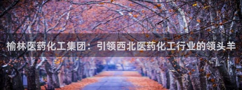 球盟会黑台