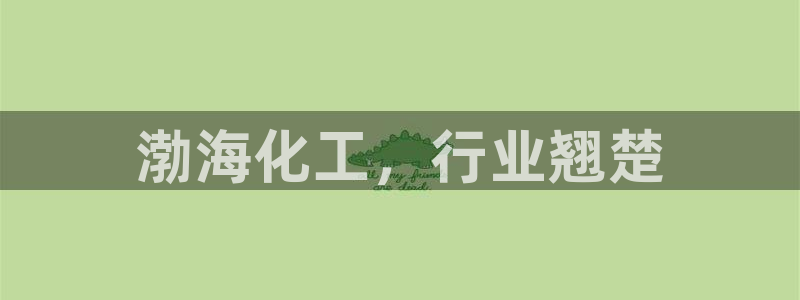 球盟会能退钱吗：渤海化工，行业翘楚