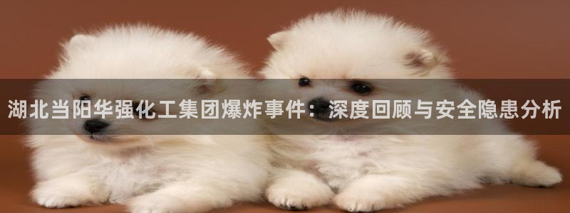 球盟会网页登录app下载地址：湖北当阳华强化工集团爆炸事件：