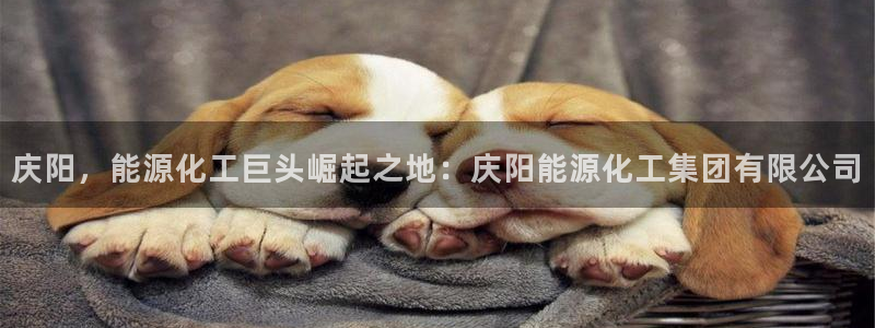 球盟会综合app下载：庆阳，能源化工巨头崛起之地：庆阳能源化