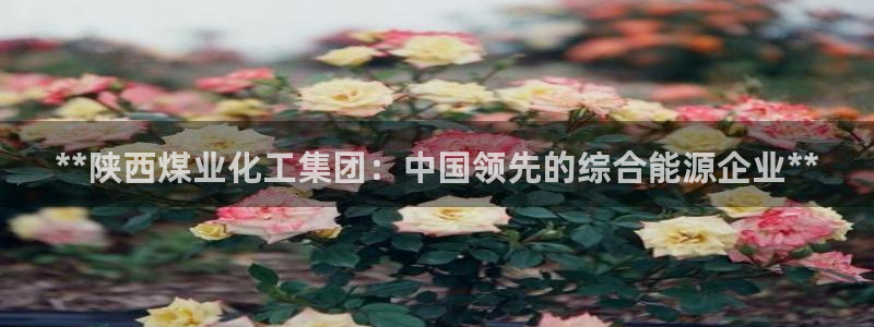 球盟会网页登录app下载地址：**陕西煤业化工集团：中国领先