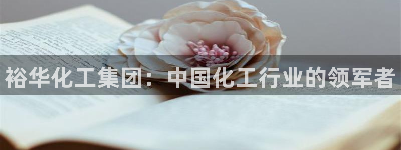 球盟会官方入口