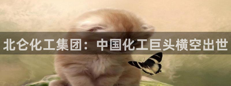 球盟会官方app首页入口
