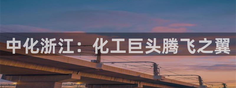 球盟会官方网页登录：中化浙江：化工巨头腾飞之翼