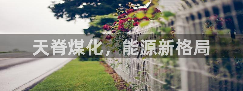 球盟会手机网页版：天脊煤化，能源新格局