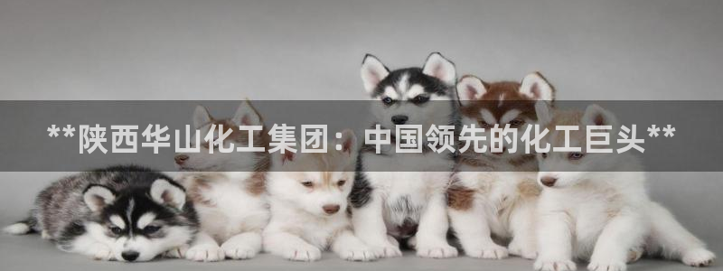 球盟会官方：**陕西华山化工集团：中国领先的化工巨头**