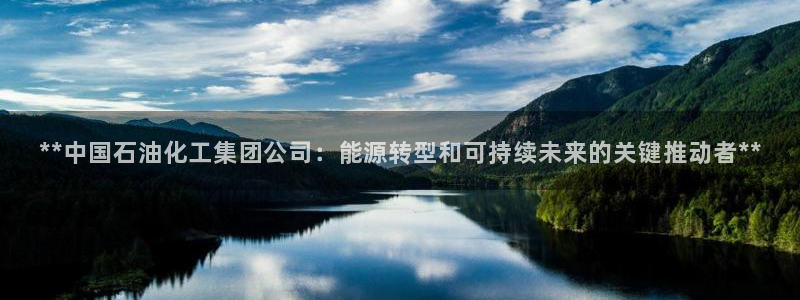 球盟会(中国)官方网站：**中国石油化工集团公司：能源转型和