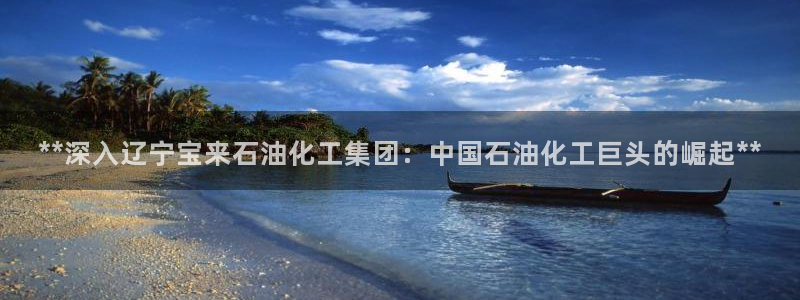 球盟会官方客服：**深入辽宁宝来石油化工集团：中国石油化工巨