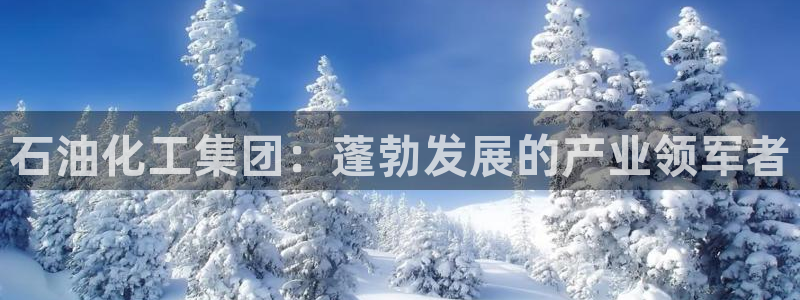 球盟会游戏几点玩合适