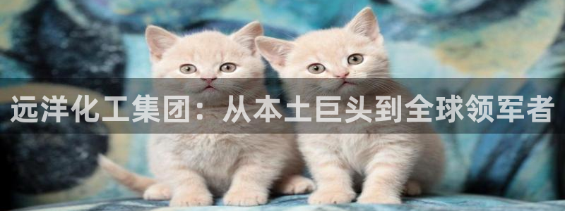 球盟会APP下载
