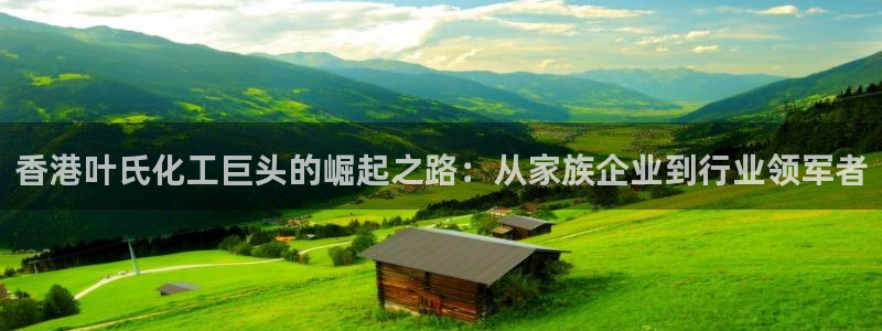 球盟会电子