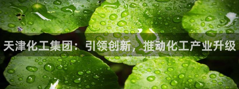 球盟会黑台子吗：天津化工集团：引领创新，推动化工产业升级