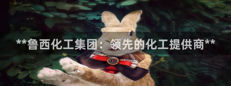 球盟会app手机登录：**鲁西化工集团：领先的化工提供商**