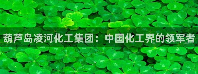 球盟会APP官网