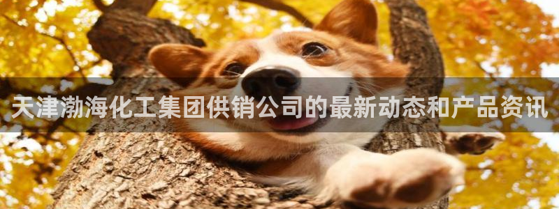 球盟会黑款吗是真的吗