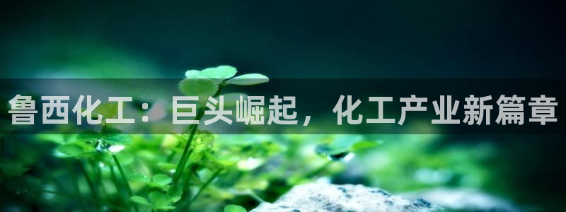 球盟会黑嘛