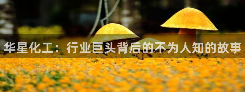 球盟会综合体育平台