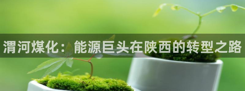 球盟会进不去