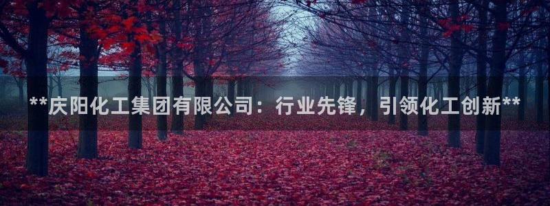 球盟会有没有黑单的活动：**庆阳化工集团有限公司：行业先锋，