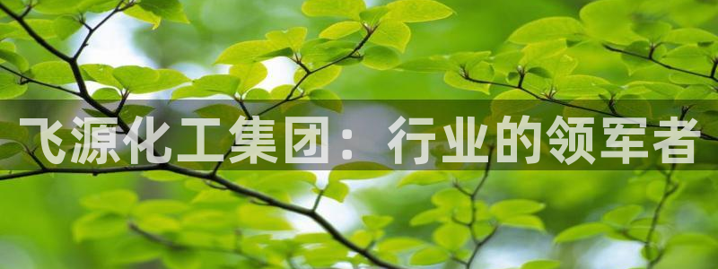 球盟会登陆中心