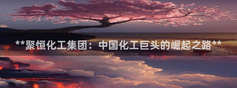 球盟会黑钱