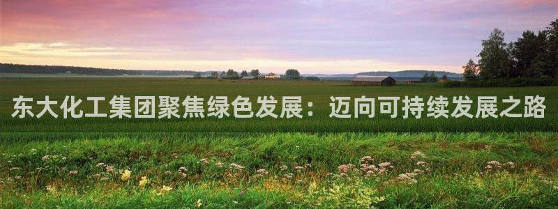 球盟会官网app下载：东大化工集团聚焦绿色发展：迈向可持续发