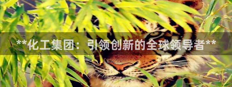 球盟会可以提现么是真的吗：**化工集团：引领创新的全球领导者