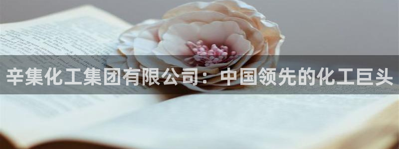 球盟会登录平台：辛集化工集团有限公司：中国领先的化工巨头