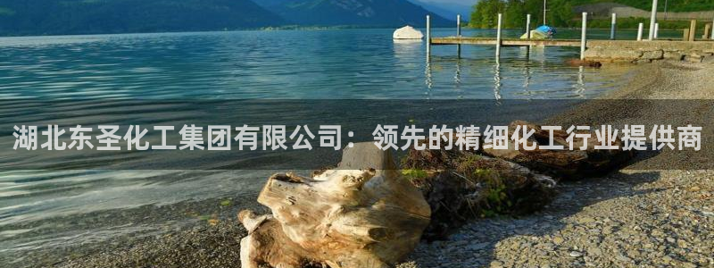 千亿球盟会乐玩：湖北东圣化工集团有限公司：领先的精细化工行业