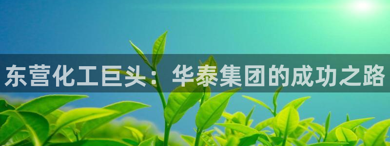 球盟会有没有黑单的球员：东营化工巨头：华泰集团的成功之路