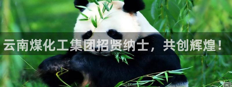 球盟会黑台