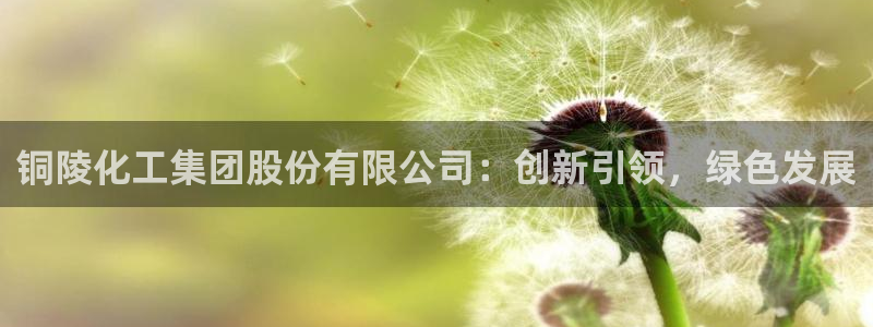 球盟会优惠码：铜陵化工集团股份有限公司：创新引领，绿色发展