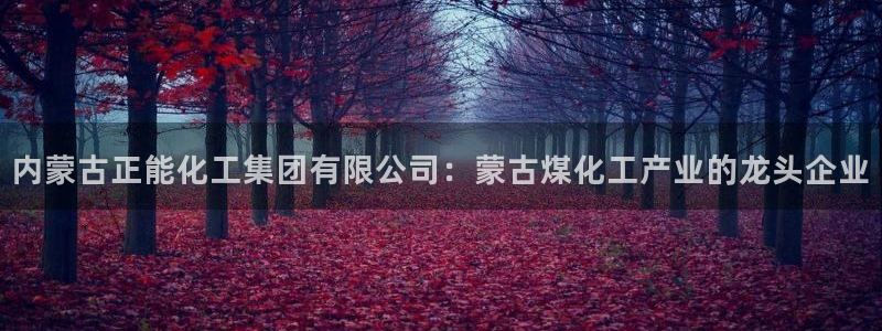 球盟会类似的网站：内蒙古正能化工集团有限公司：蒙古煤化工产业