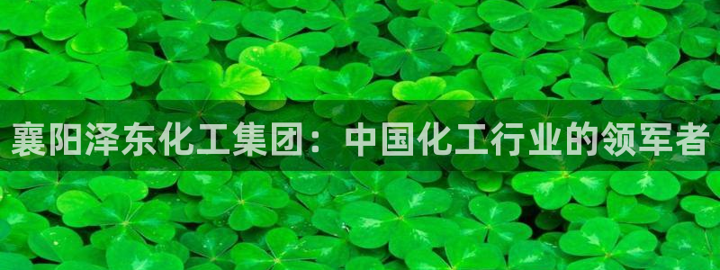 球盟会黑网