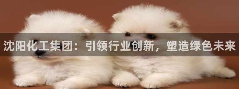 球盟会黑台子：沈阳化工集团：引领行业创新，塑造绿色未来