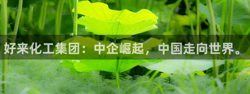 球盟会里面有打牌的嘛：好来化工集团：中企崛起，中国走向世界。