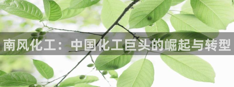 球盟会能提现吗是真的吗