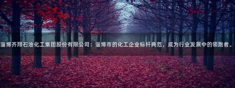 球盟会电子好下吗：淄博齐翔石油化工集团股份有限公司：淄博市的