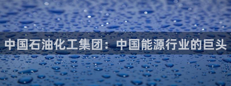 球盟会官方网站是什么：中国石油化工集团：中国能源行业的巨头