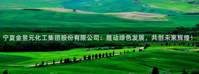 球盟会官方app首页入口：宁夏金昱元化工集团股份有限公司：推