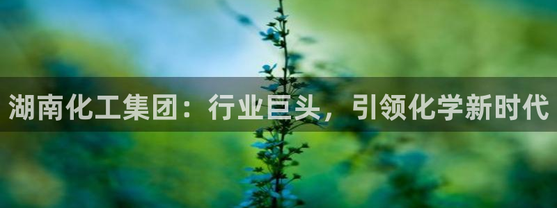 球盟会官方网入口
